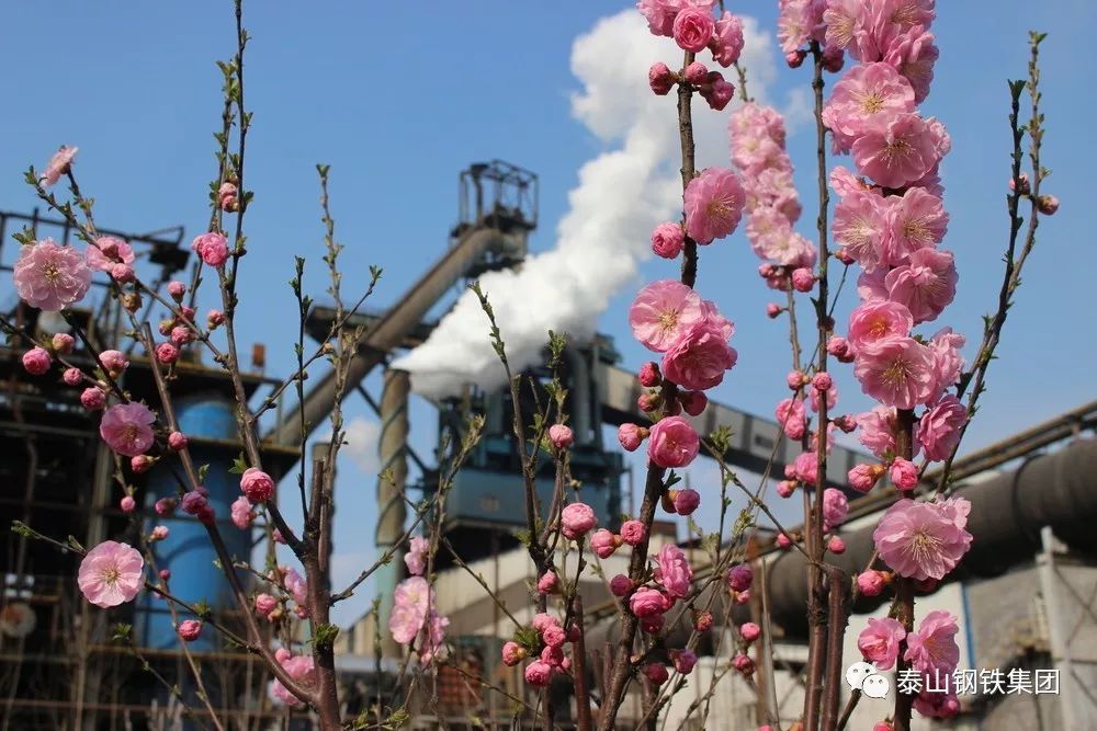 光影瞬间【泰钢摄影家协会作品欣赏】