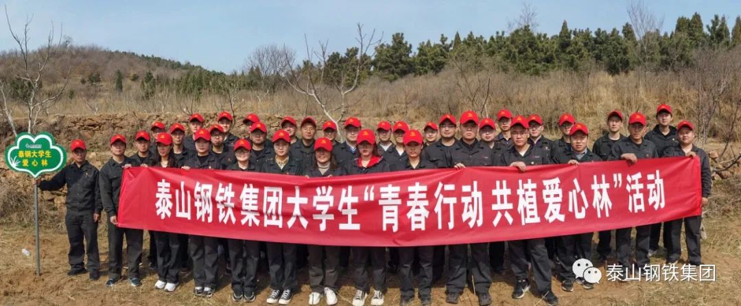 泰山钢铁集团组织大学生“青春行动 共植爱心林”活动